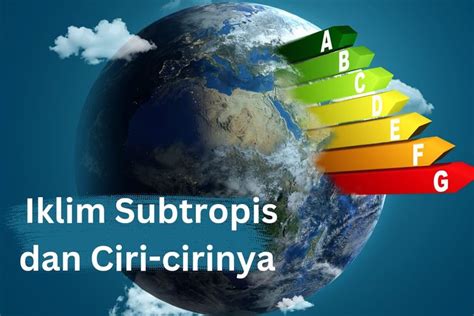 12 Negara Dengan Iklim Subtropis Dan Ciri Cirinya