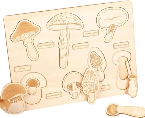 Pcs Lebenszyklus Holztablett Lebenszyklus Tablett Aus Holz Aus Pilz