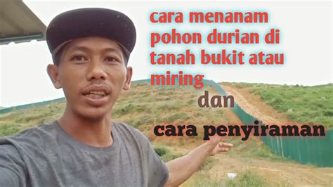 Cara Mudah Menanam Durian Di Lereng Bukit Atau Di Tanah Miring YouTube