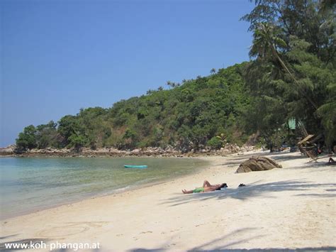 Koh Phangan Coconut Beach And Garden Bungalows Fotogalerie Koh Phangan