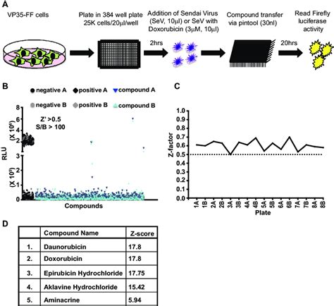 Establishing A High Throughput Screening Hts Assay To Identify