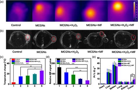 A IR Thermal Images Of 4T1 Tumor Bearing Mice Under Laser