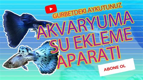 Akvaryuma Su Ekleme Aparati Youtube