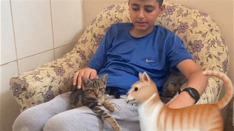 SOKAKTA YARAMAZ TATLI BİR KEDİ BULDUK EVE GETİRDİK ماما جابت بيبي