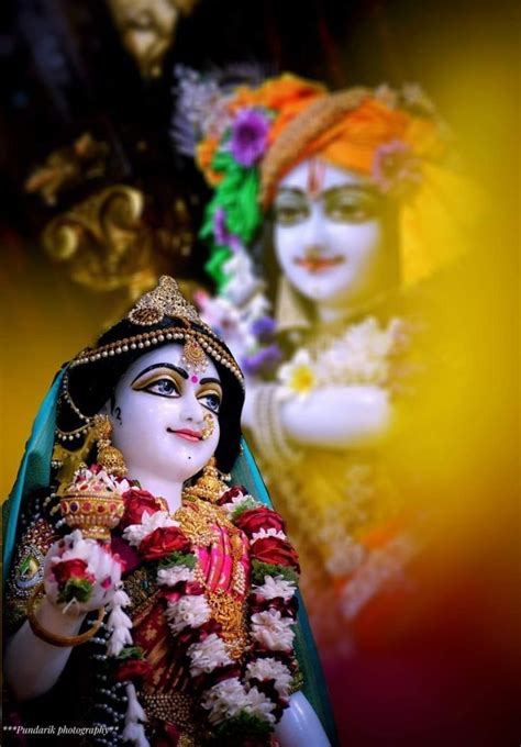 Radhe Krishna 🪈🦚🥀🖤💫 Happy Radha Janmashtami 🪈🦚🙏🥀🖤💫 Radha Rani