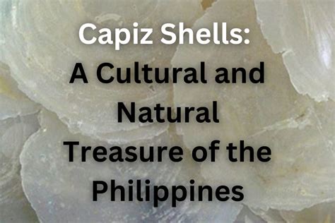 Capiz Shells A Cultural And Natural Treasure Of The Philippines