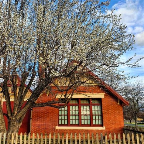 Myrtleford Victoria Kilns Markets Italian Heritage