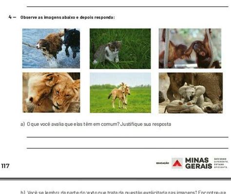 Observe A Imagem E Responda - Observe As imagens abaixo e depois responda o que você avalia que elas ...