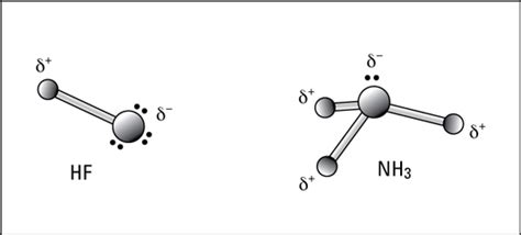 Electronegativity and Polar Covalent Bonding - dummies