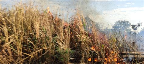 El Orbe Al Momento Incendio De Pastizales En El Libramiento Sur De