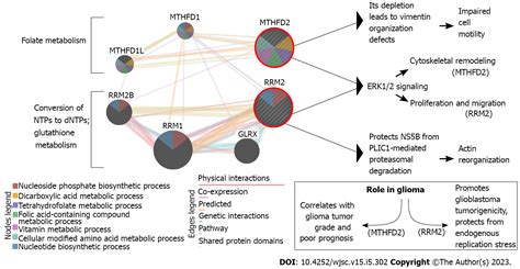 Delineating The Glioblastoma Stemness By Genes Involved In Cytoskeletal