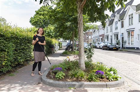 Haarlemmers Maken De Straten Groener Leidsebuurt Haarlem