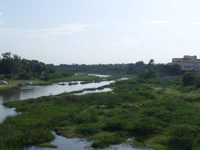 Adyar River, Chennai, India Tourist Information