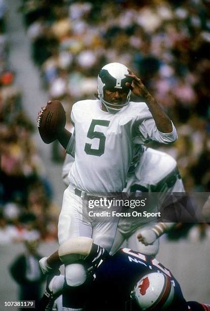 Philadelphia Eagles Qb Roman Gabriel Photos and Premium High Res ...