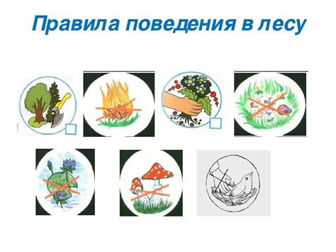 Картинки Правила Поведения На Природе Для Детей Памятка В Картинках ...
