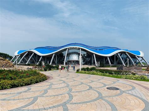 Приморский океанариум во Владивостоке (Россия) с фото и отзывами