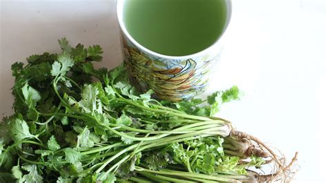 T De Cilantro C Mo Se Prepara Y Cu Les Son Sus Beneficios