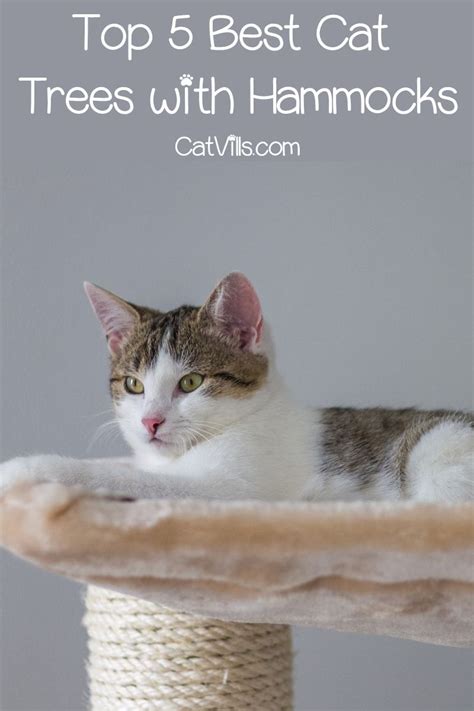 Top 5 Best Cat Trees with Hammocks | Cool cat trees, Cool cats, Cat tree condo