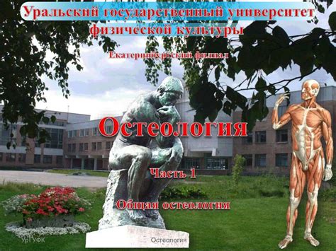 Общая остеология - презентация онлайн