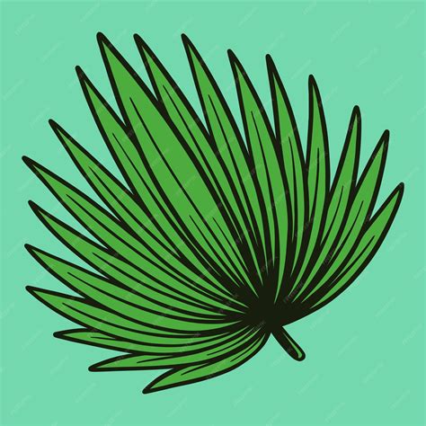 Anahaw Leaf Drawing