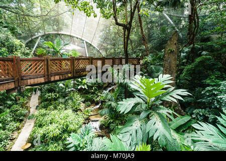 CHINA HONG KONG Edward Youde Aviary Park birds Stock Photo - Alamy