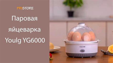 Паровая яйцеварка Xiaomi Youlg YG6000 - YouTube