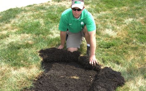 White Grub Control in Grass Lawns - Grass Pad