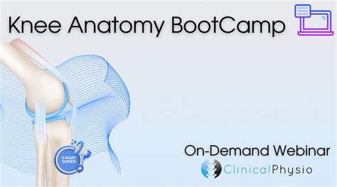 Online Bootcamp Course Clinical Physio Membership