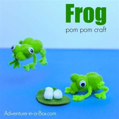 Frog Life Cycle Pom Pom Craft for Nature Studies