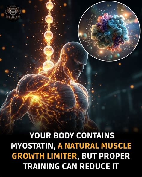 The Muscle Limitless Society