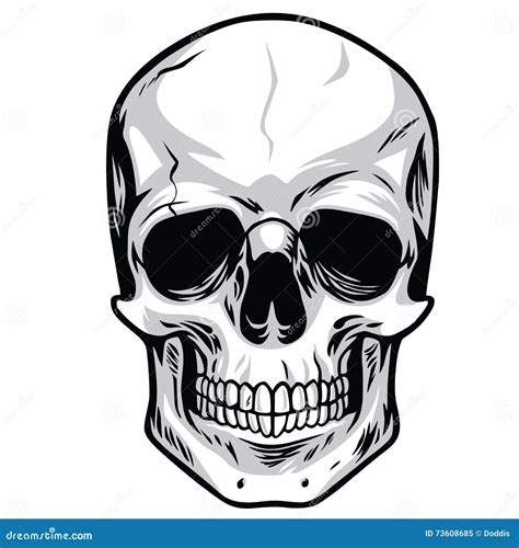 Skull Vector Stock Vector Illustration Of People Crossbones