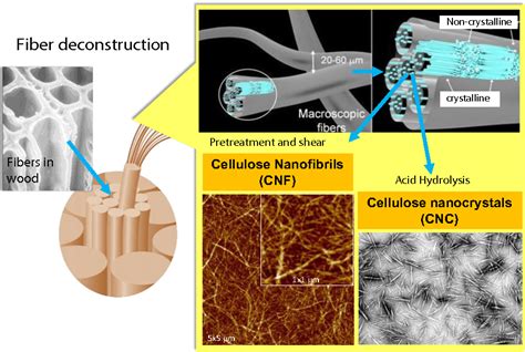 Figure 1 from Nanocellulose properties and applications in colloids and ...