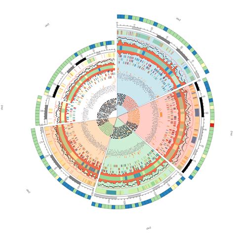 Circos Tutorials 2D Data Tracks Putting It All Together CIRCOS
