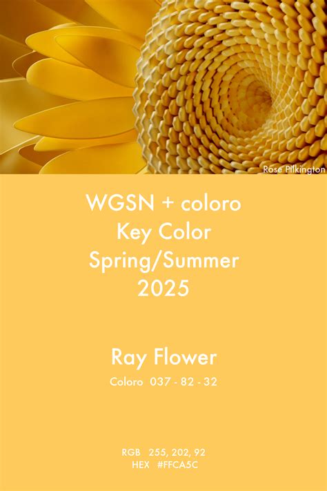 Key Color S S 2025 Ray Flower WGSN Coloro Design Color Trends