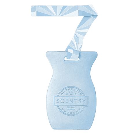 Clothesline Scentsy Bar