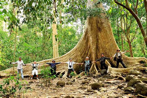 Nam Cat Tien National Park Tours Saigon Local Tour