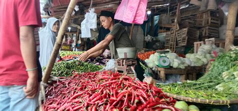 Harga Cabai Rawit Di Pasar Induk Rau Tembus Rp 100 Ribu Kg