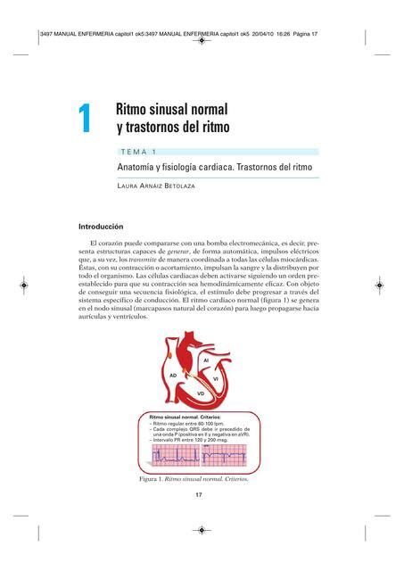 Ritmo Sinusal Normal Y Trastornos Del Ritmo Carlos Fleitas Udocz