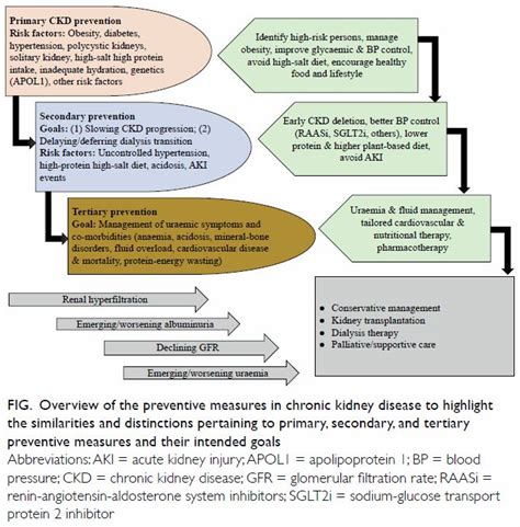 Kidney Health For Everyone Everywhere—from Prevention To Detection And