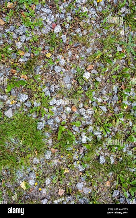 Grass Growing Through Rubble Hi Res Stock Photography And Images Alamy