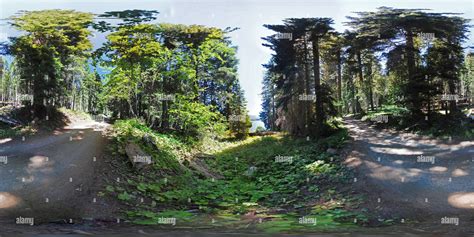 360° View Of Bumping Lake Panorama 10 Alamy