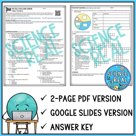 Amoeba Sisters Cell Cycle And Cancer Worksheet 4