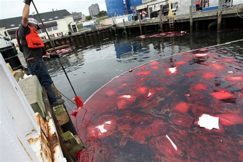 Diesel Fuel Spills Into New Bedford Harbor Cleanup And Investigation