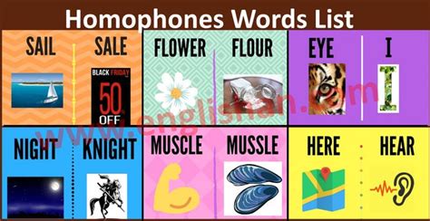 Homophones Words List with Examples PDF | Homophones words, Homophones, Words