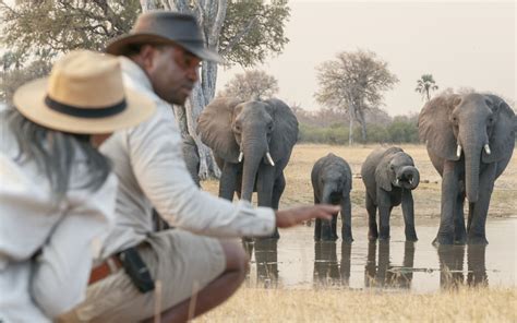 The Best Zimbabwe Wildlife Safari | Safari Guru | 5* Safari Specialists