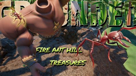 Fire Ant Hill Treasure Trove Grounded After Finding Dr Tully Youtube