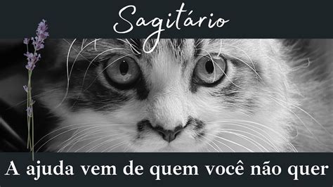 SAGITÁRIO A AJUDA VEM DE QUEM VOCÊ NÃO QUER QUINTA FEIRA tarot