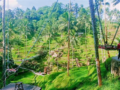 THE 10 BEST Hotels in Tegallalang, Indonesia 2024 (from $15) - Tripadvisor