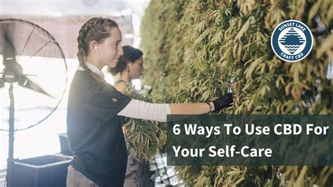 Elevate Your Self Care With Cbd 6 Effective Ways To Use Cbd For