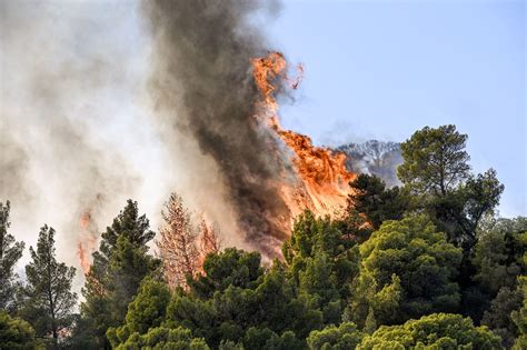 Incendies et canicule 60 départs de feu en Grèce léger répit au Canada